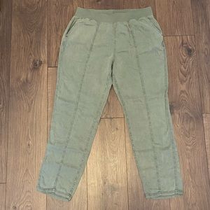 NWT Faherty green pants